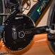 Pinarello Dogma F Obsidian Emerald – détail 2