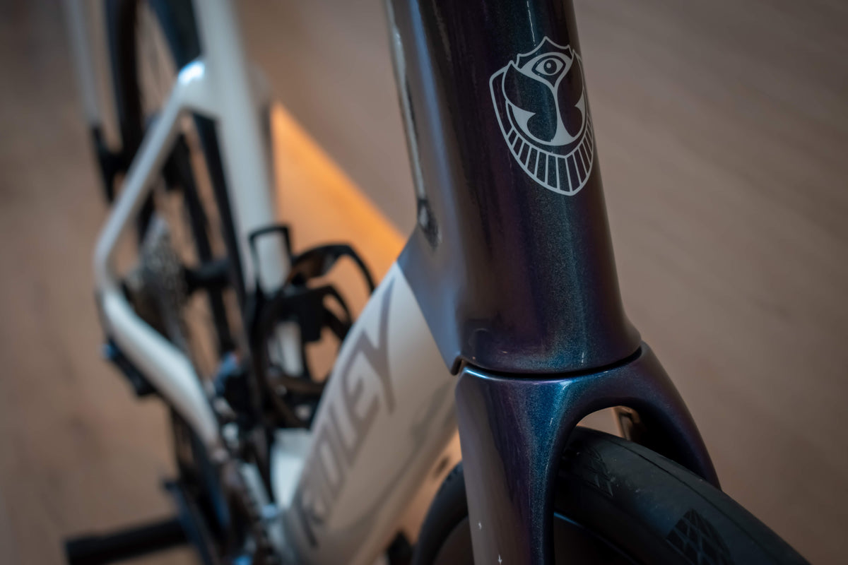 Ridley Noah Tomorrowland