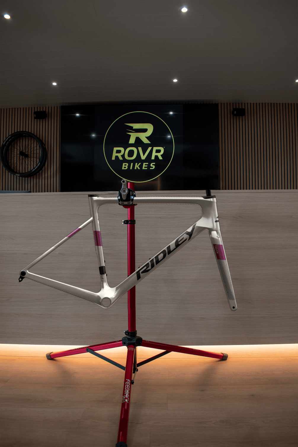 Kit cadre Ridley Falcn Autumn Grey/Black/Purple chez ROVR Bikes Dendermonde