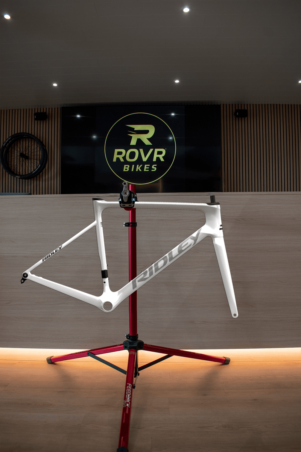 Kit cadre Ridley Falcn Pearl White/Silver chez ROVR Bikes Dendermonde